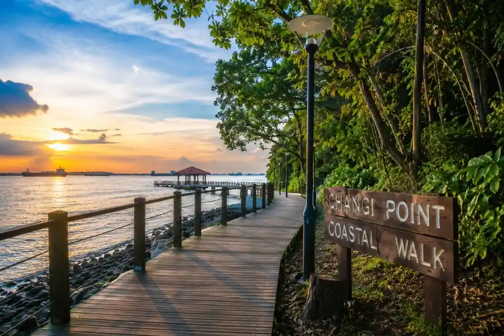 Changi Point Coastal Walk