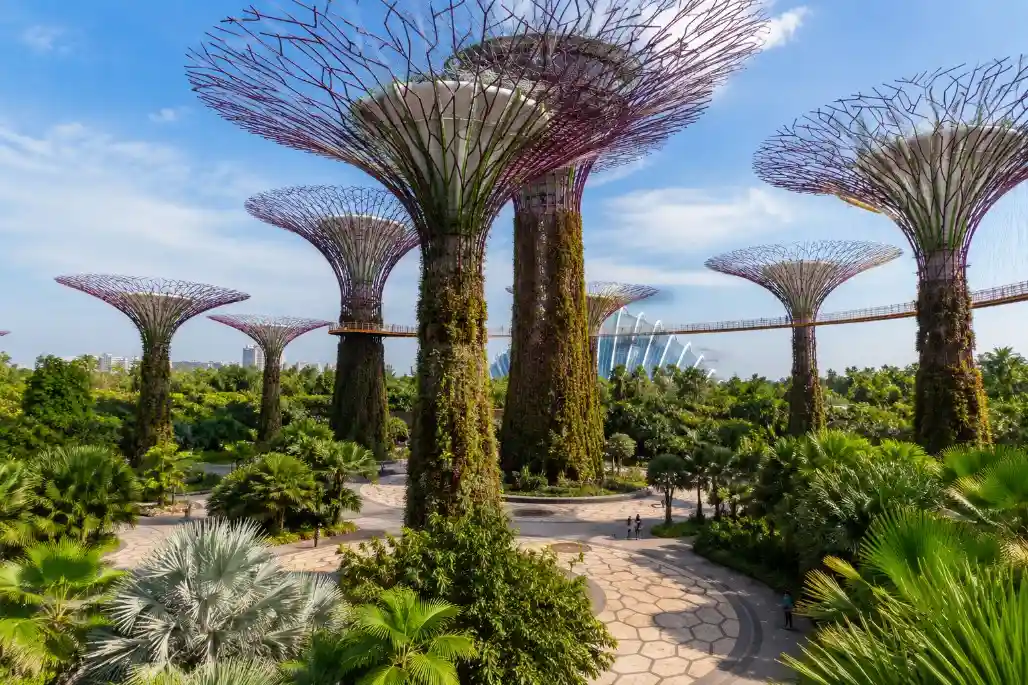 Gardens by the Bay (Outdoor Area)
